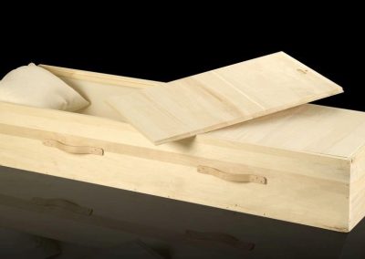 The Eden - Solid Poplar Green Burial Container